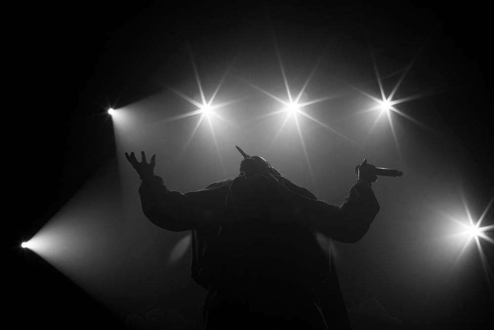 Hippocampe Fou en concert à toulouse en 2016, par Patricia Huchot-Boissier, Programmé pour le Festival Voix de Fête 2018.jpg