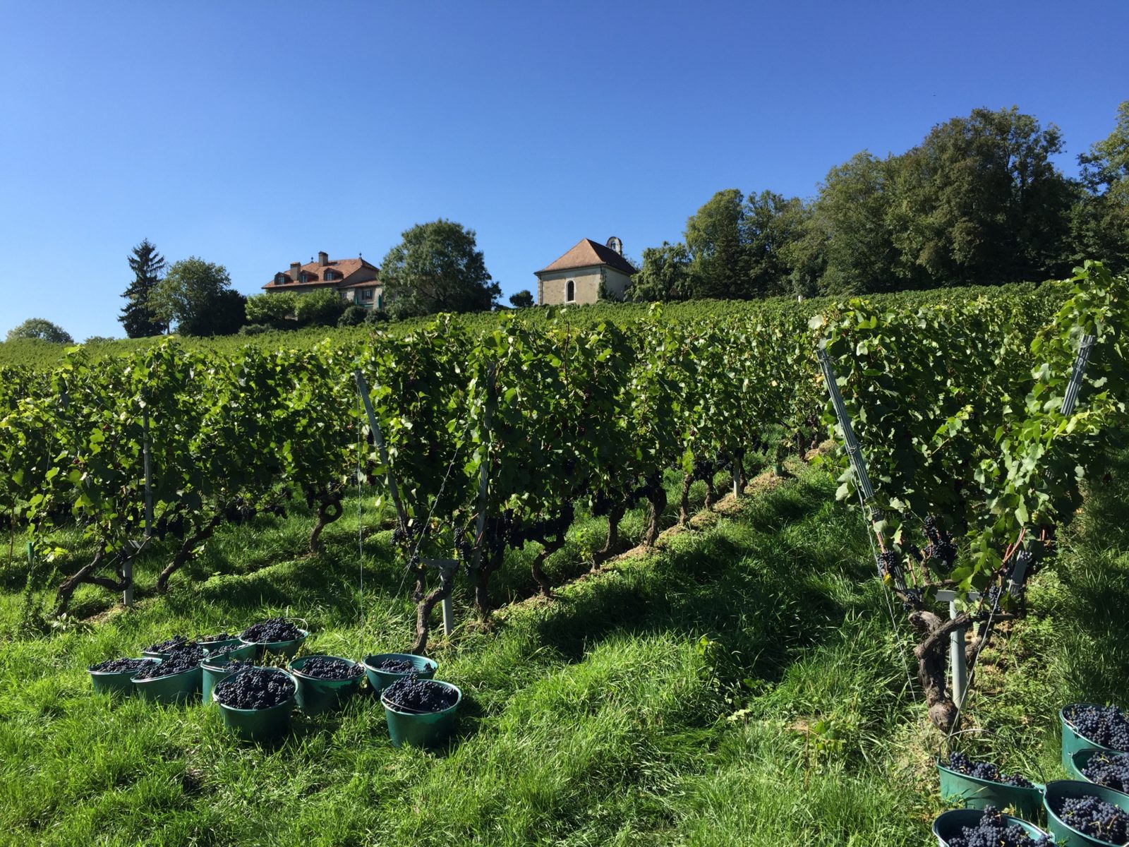 Domaine des Balisiers publié dans le cadre de l'article de go out magazine