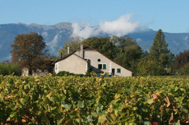 Domaine de la Donzelle publié dans le cadre de l'article de go out magazine