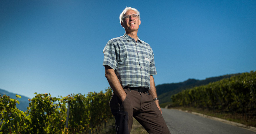 Portrait de Maurice Zufferey vigneron à Sierre publié dans le cadre de Go Out Magazine