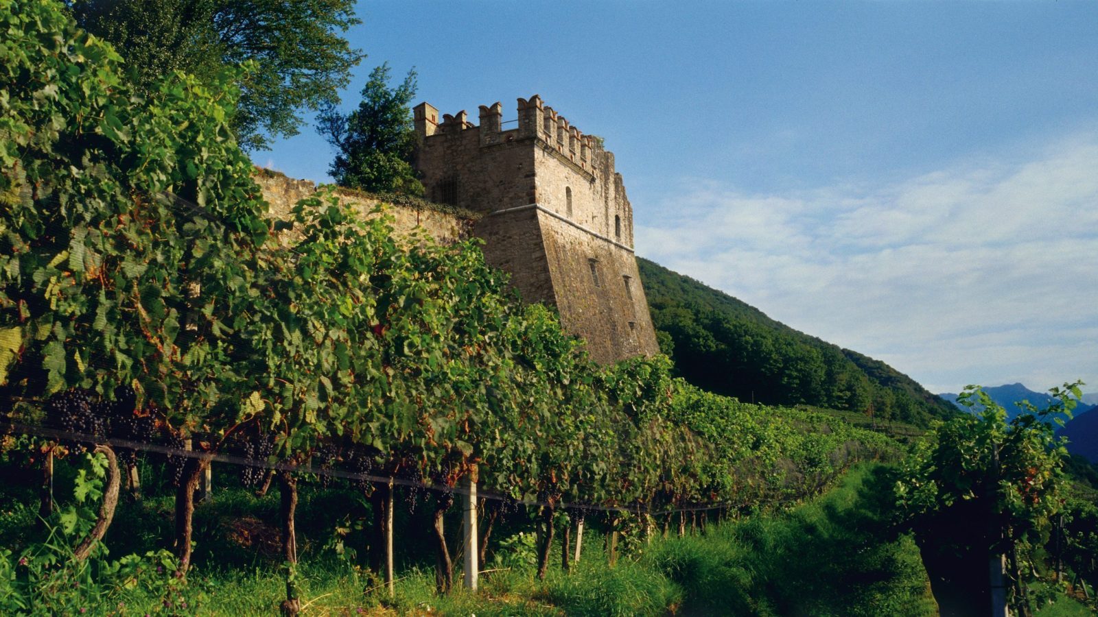Tenuta Castello di Morcote publié dans le cadre de Go Out Magazine