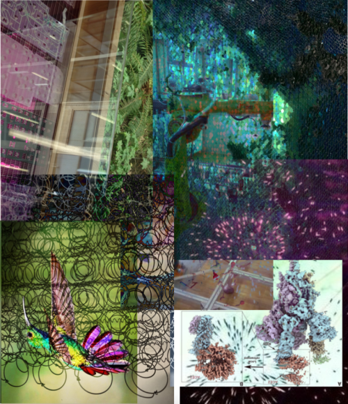 image des projections du festival Mapping, couleurs qui rappellent un kaléidoscope